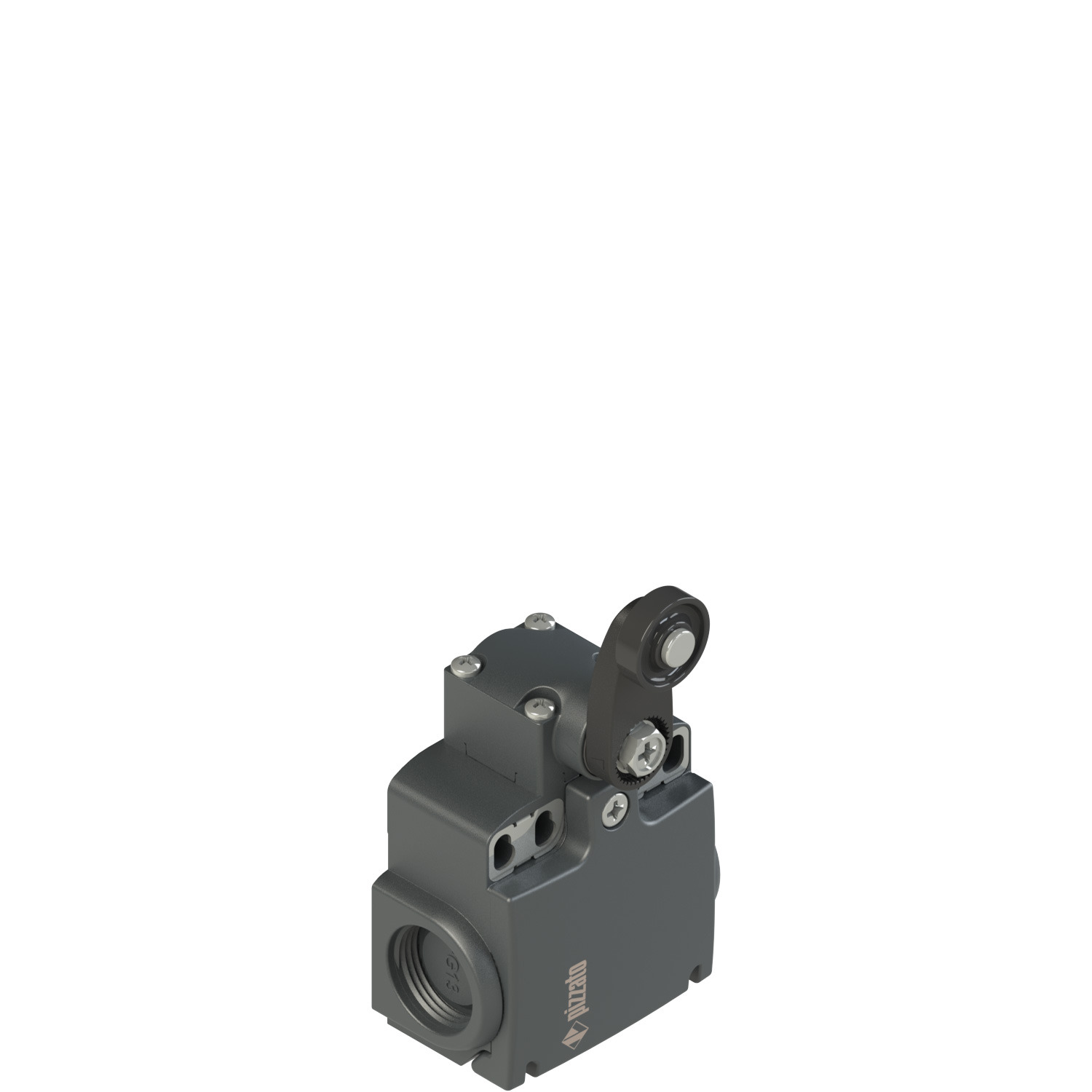 Pizzato FX 1530 Limit Switch