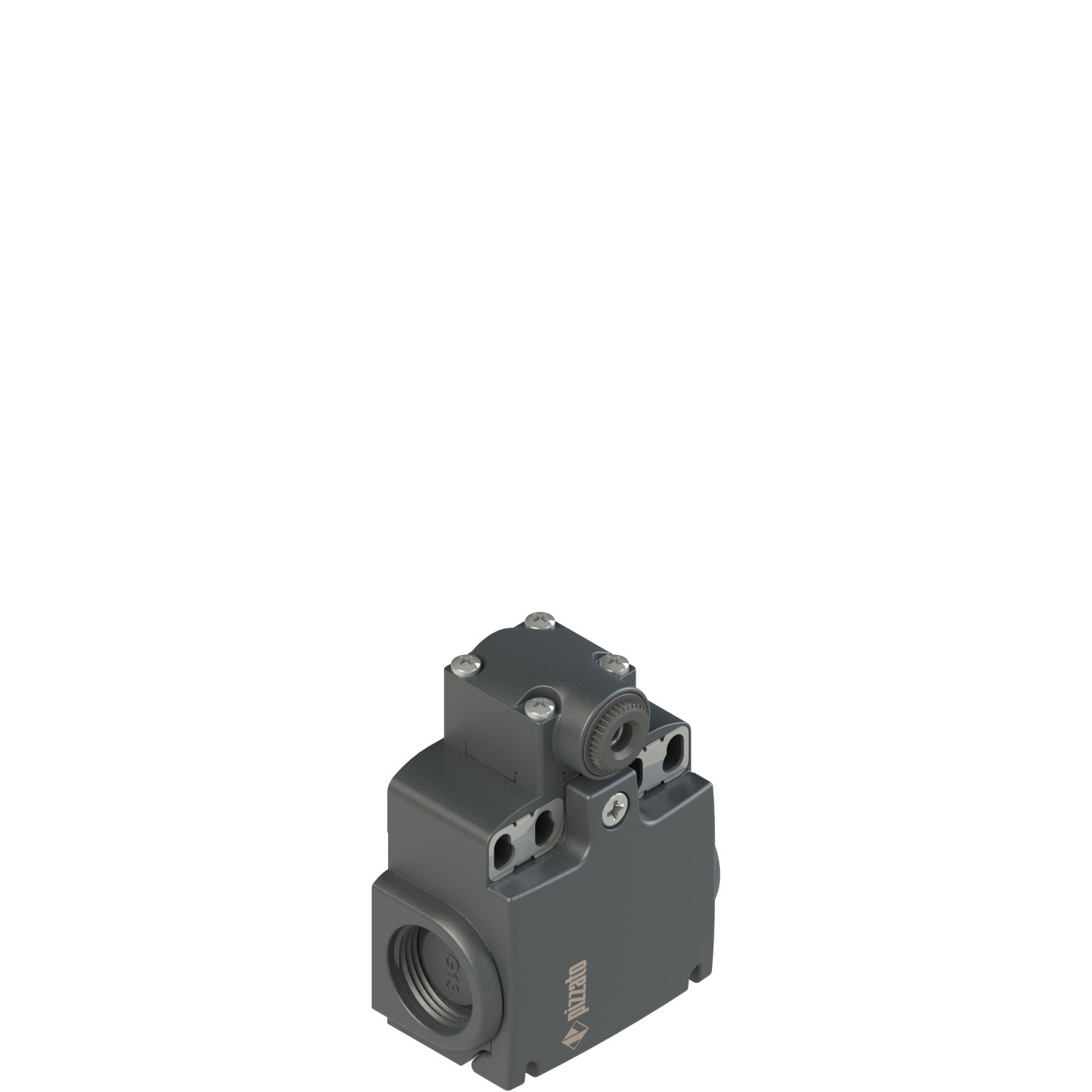 Pizzato FX 1238 Limit Switch