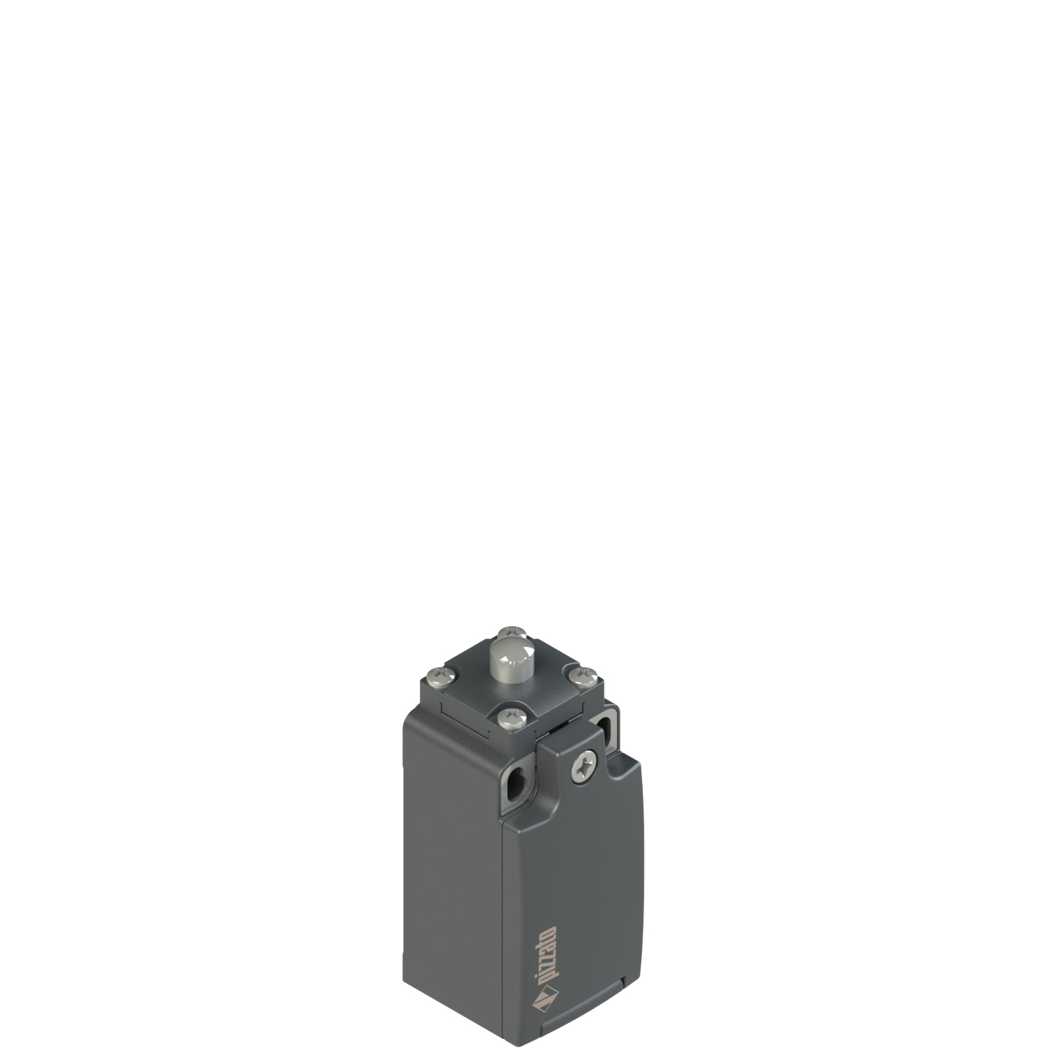 Pizzato FR 1001 Limit Switch