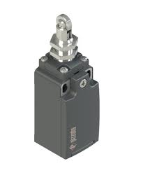 Pizzato FR 1017 Limit Switch